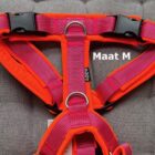 M 4dox comfort plus P114634